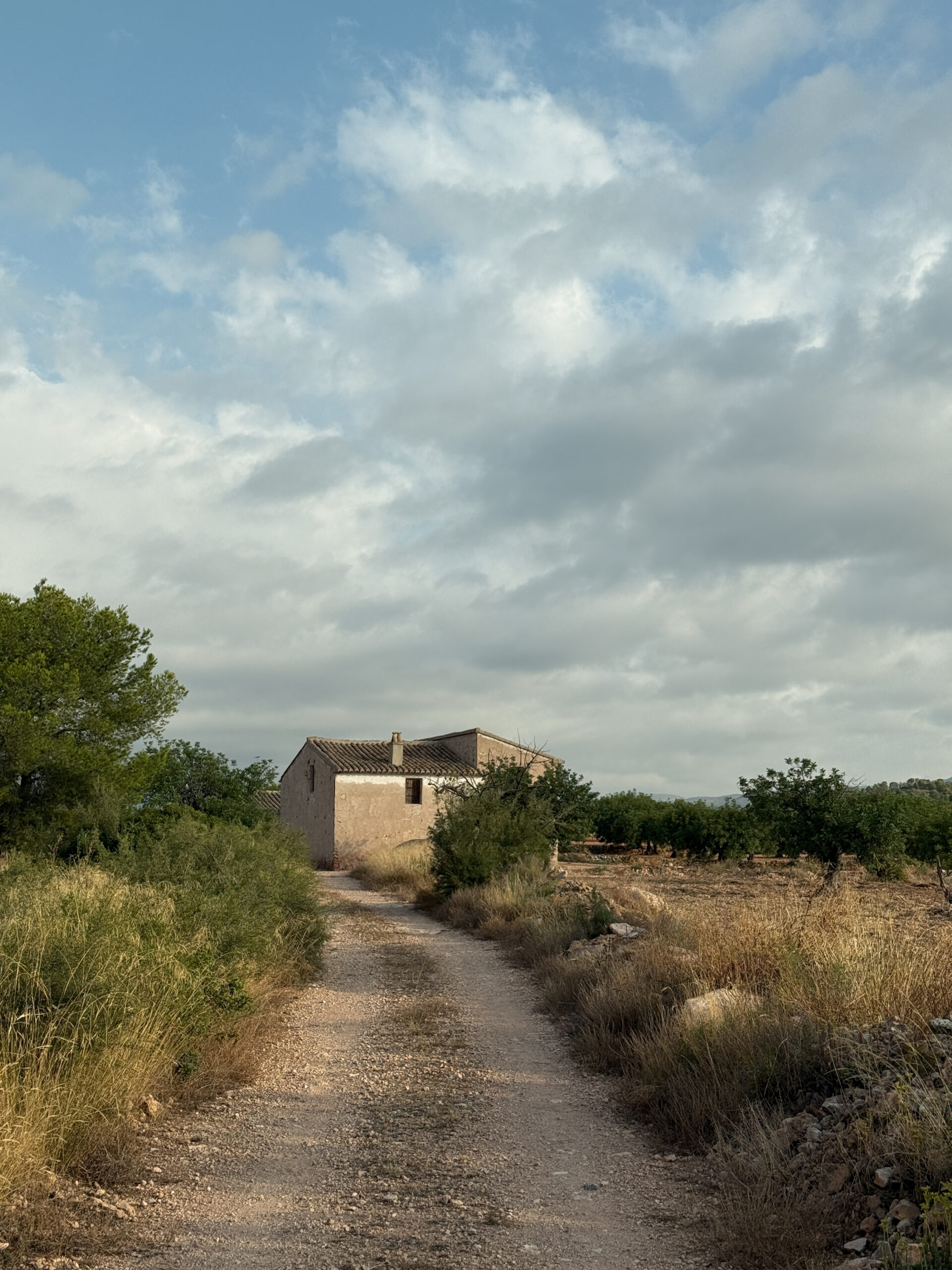 Alcublas-Blog-001