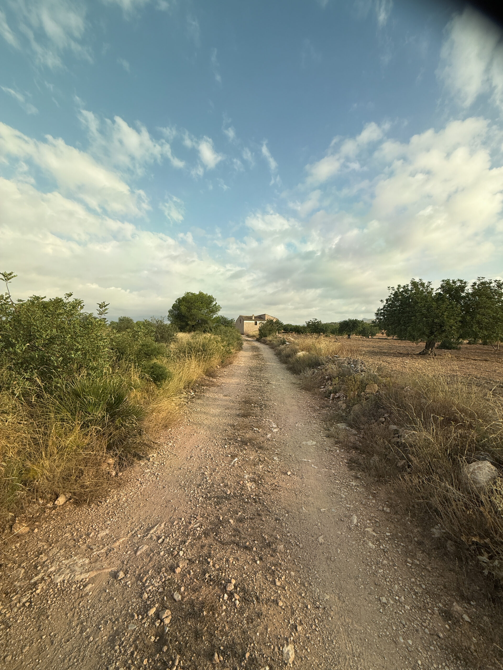 Alcublas-Blog-002