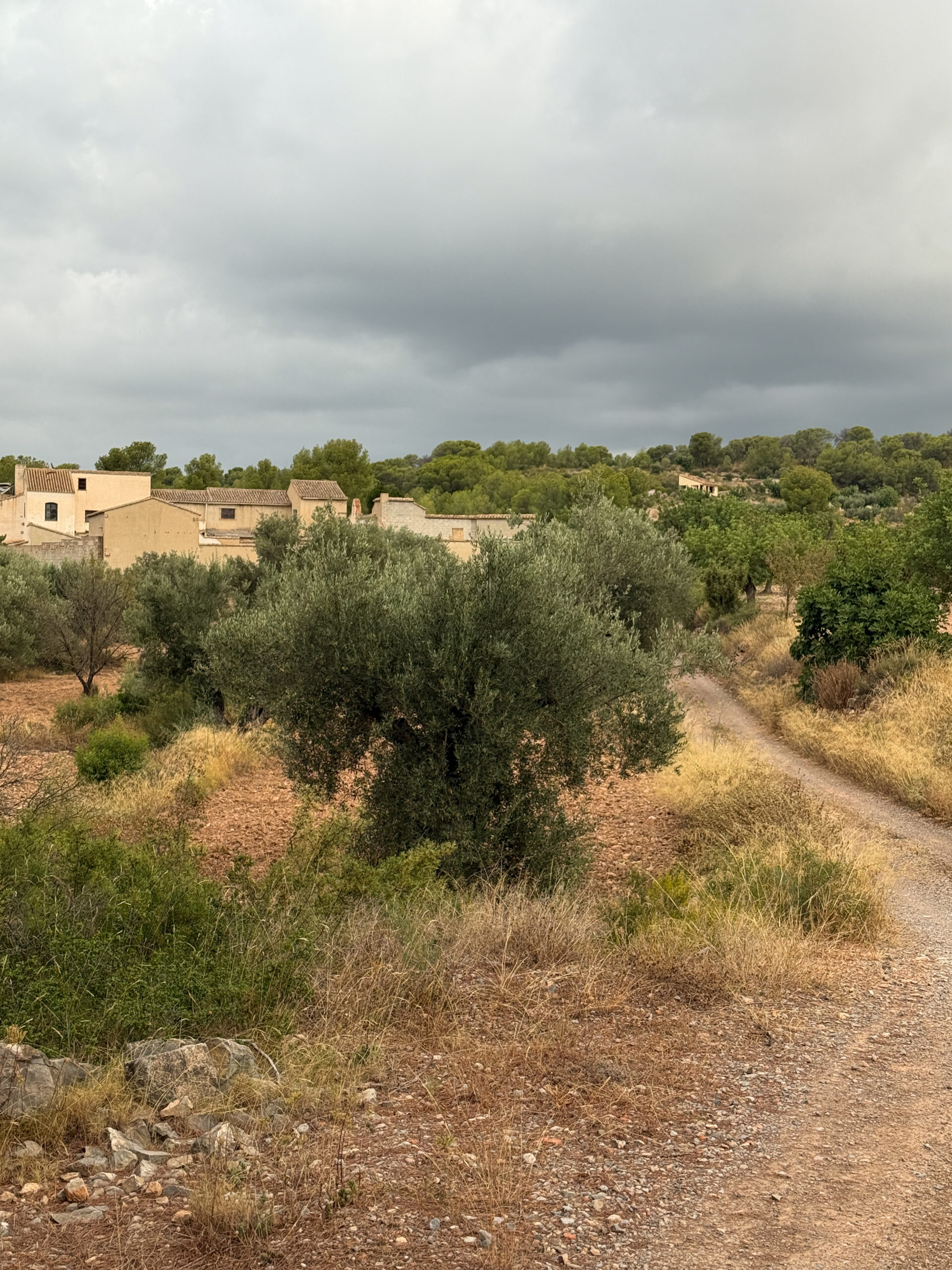 Alcublas-Blog-009