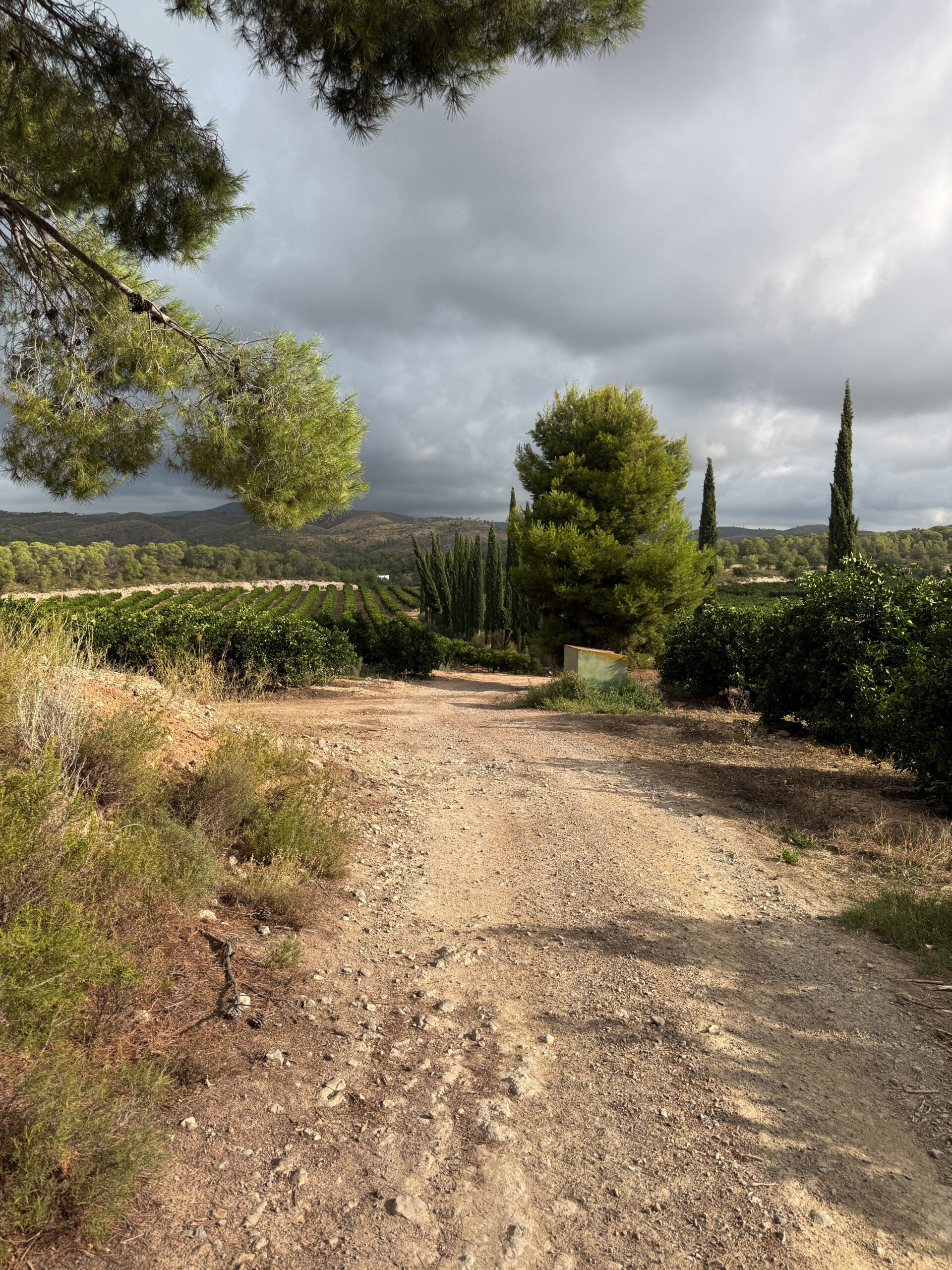 Alcublas-Blog-011