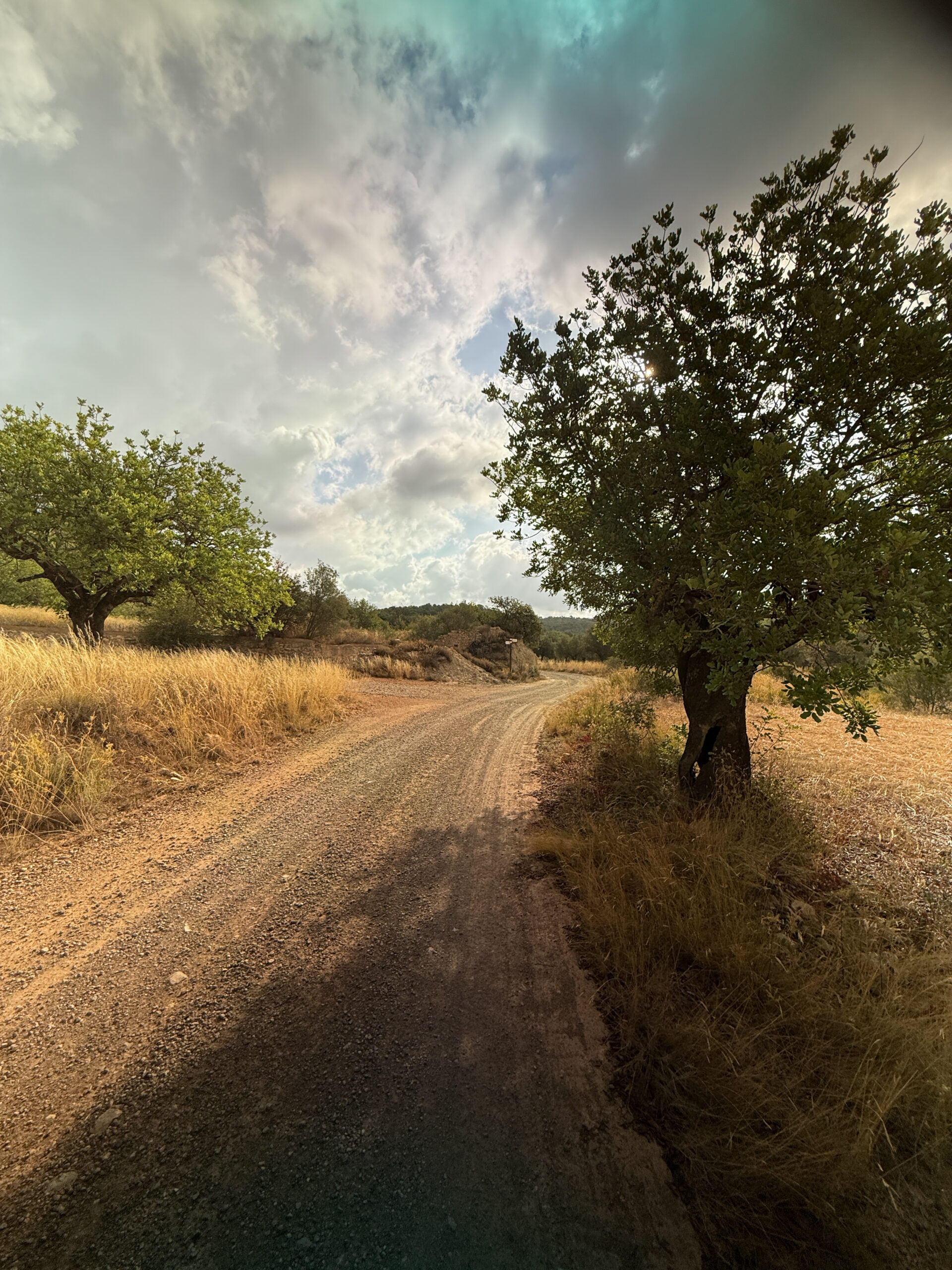 Alcublas-Blog-012
