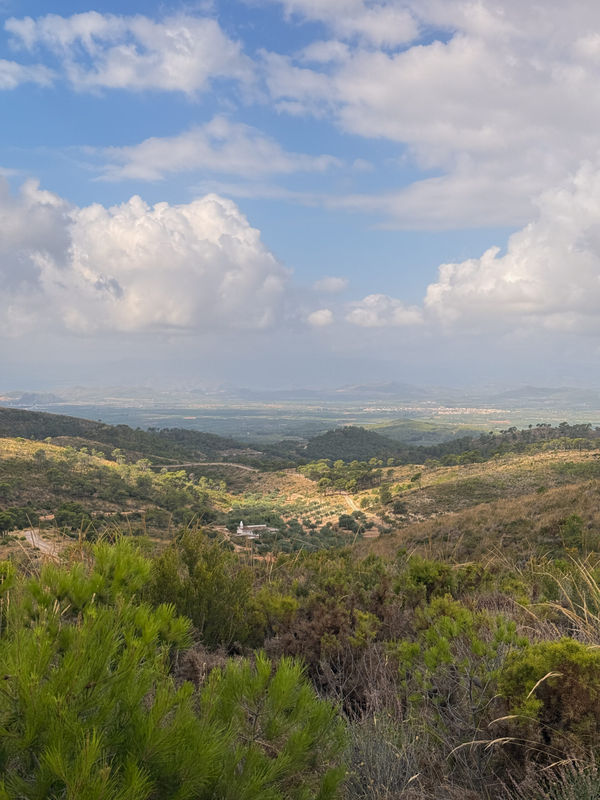 Alcublas-Blog-021