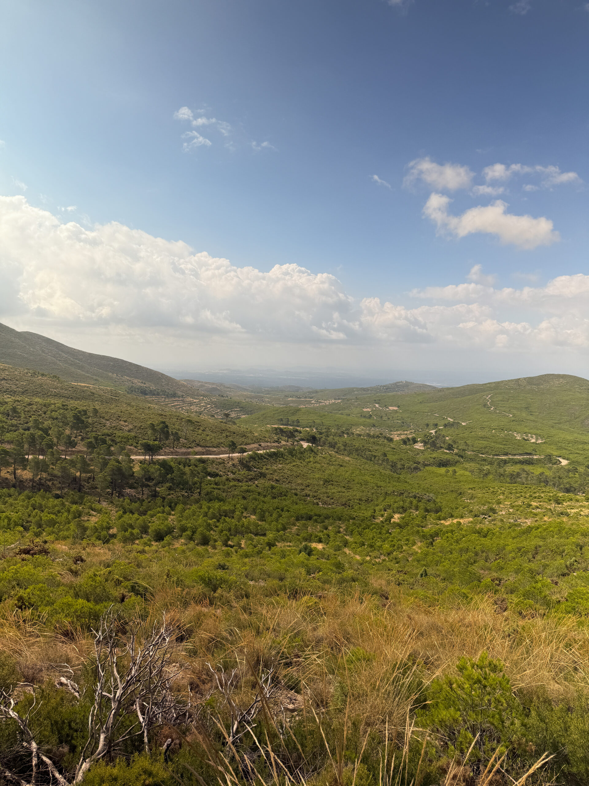 Alcublas-Blog-023
