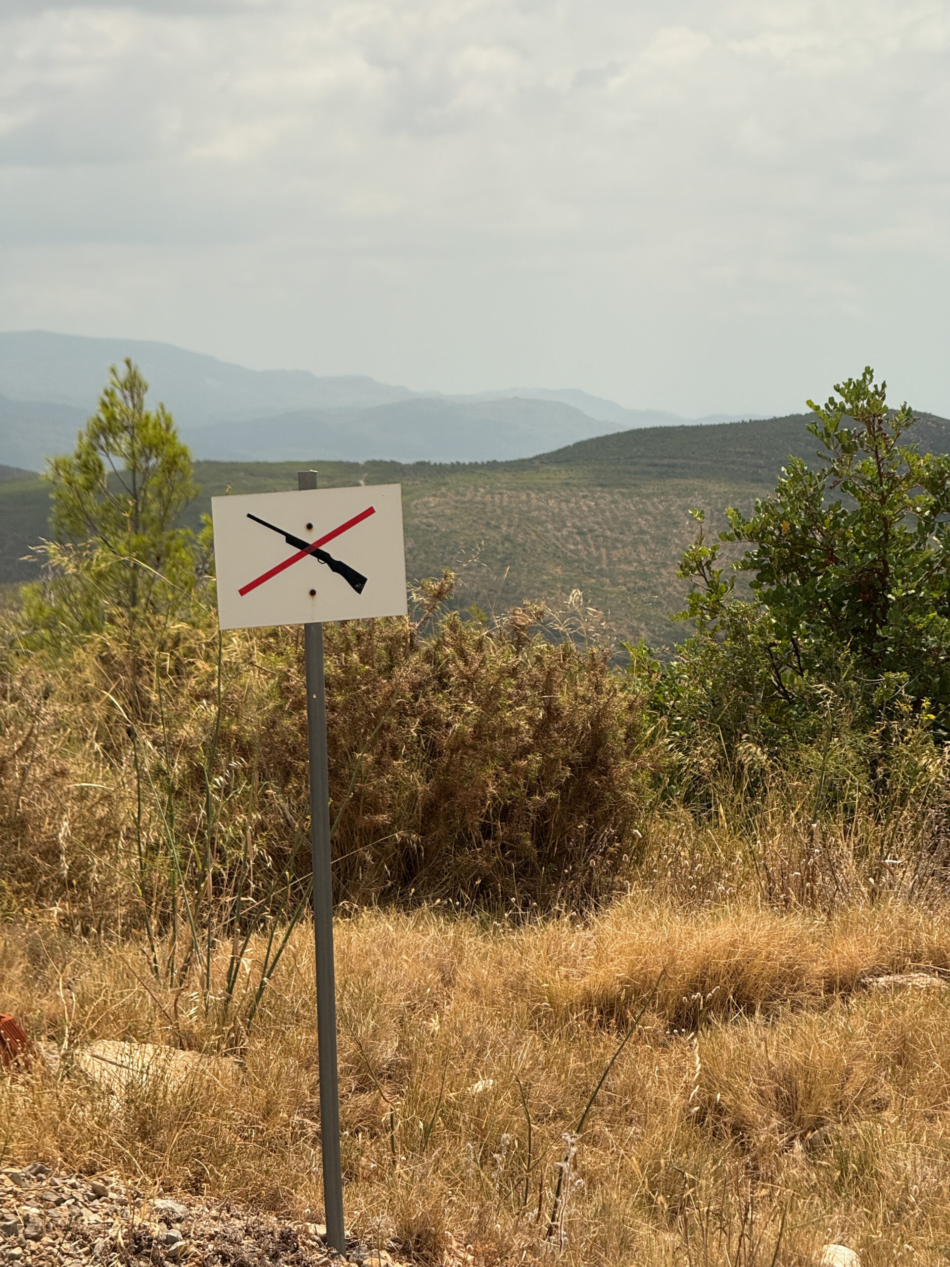 Alcublas-Blog-031