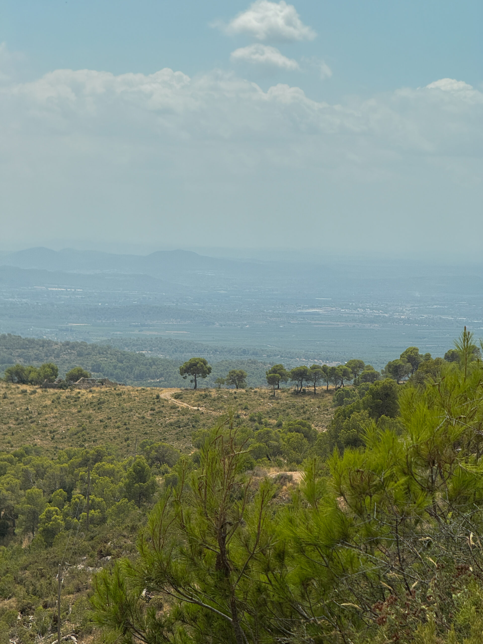 Alcublas-Blog-036