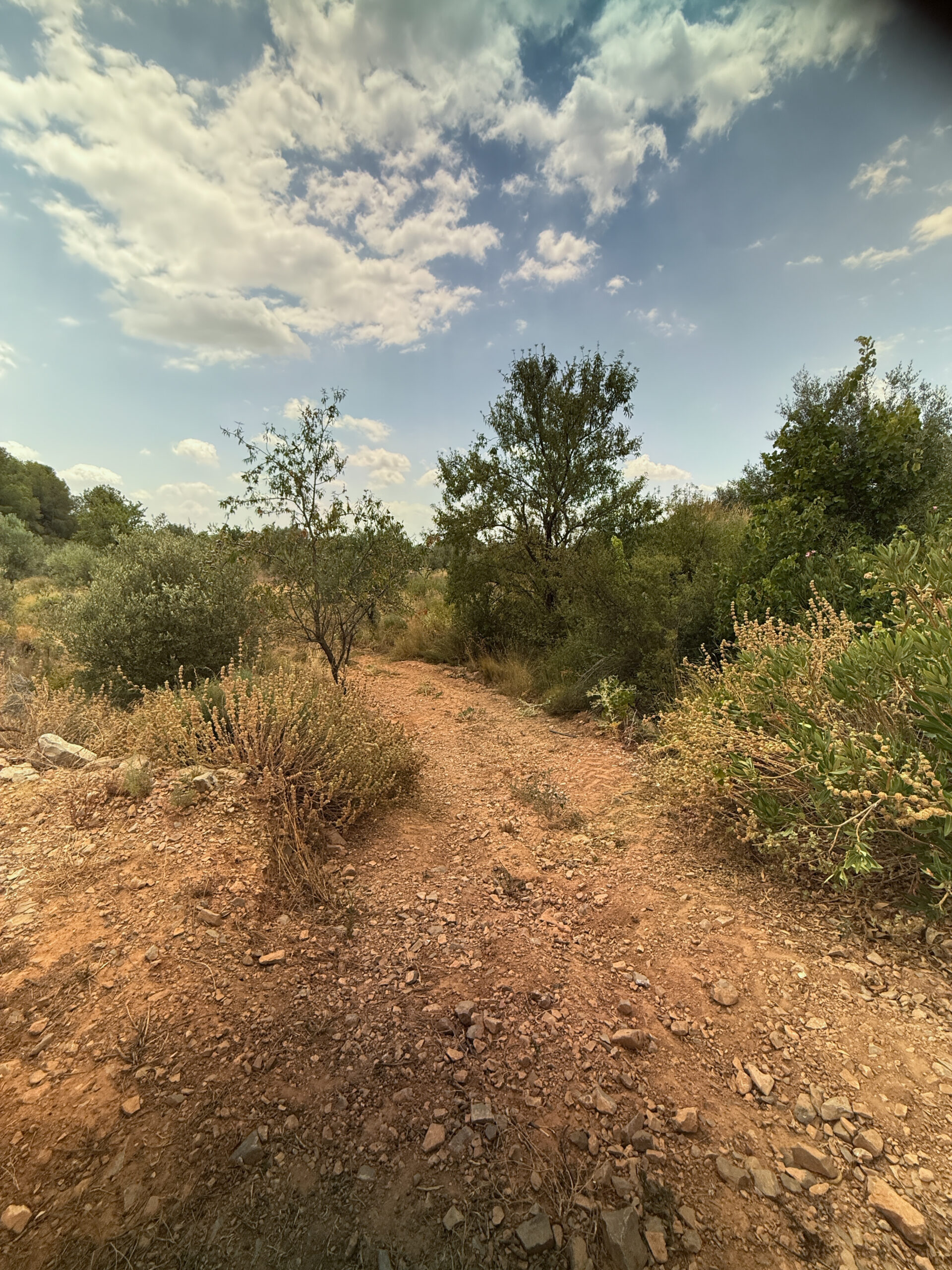 Alcublas-Blog-038